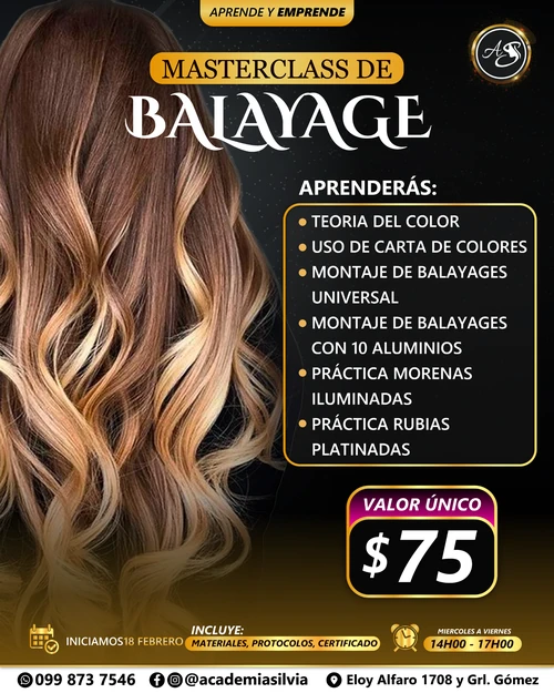 Master Class de Balayage