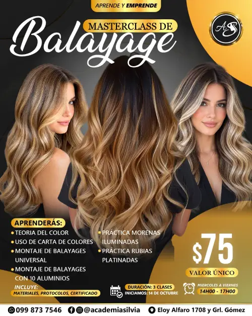 Master Class de Balayage