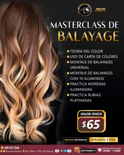 Master Class de Balayage