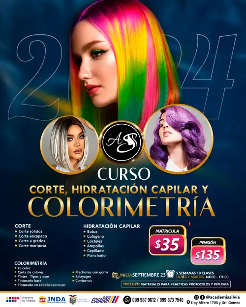 Corte, Hidratación Capilar y Colorimetría