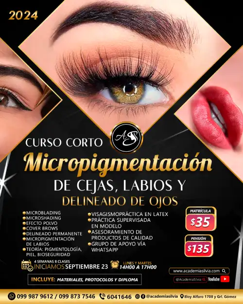 Curso Corto Micropigmentación