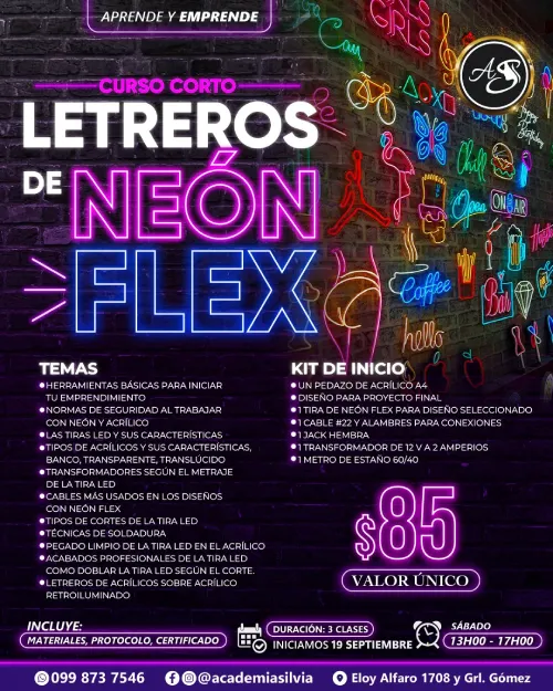 Luces Neon Flex